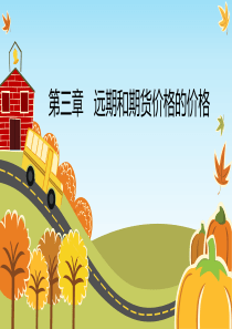 期货期权入门第三章远期和期货合约的价格