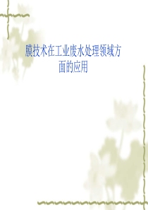 膜技术在工业废水处理方面应用概述.