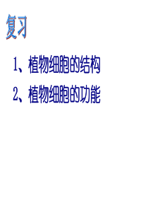 七年级生物：人和动物细胞的结构和功能全解