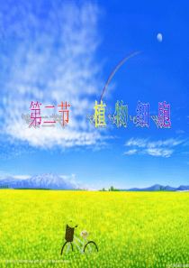 人教版七年级初一上册生物《观察植物细胞PPT课件》