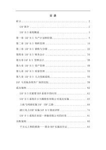 sap全面概述中文90页