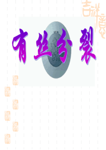 有丝分裂(全内容)