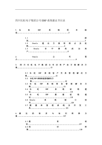 Oracle-长虹-集团公司ERP系统建议书