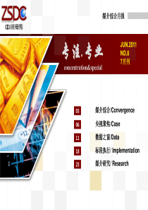 XXXX媒介综合月报(7月)-中视电传ppt