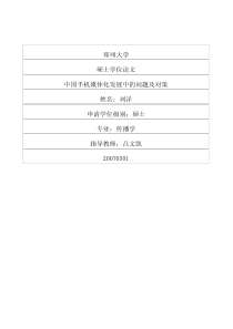 中国手机媒体化发展中的问题及对策
