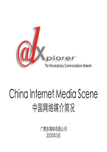 中国网络媒介简况