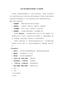 九洲大唐开盘期至年底报纸广告大致思路