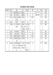 九洲大唐花园30”电视广告方案安排