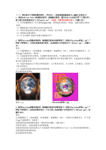 上海市三级多媒体XXXX1022模拟题