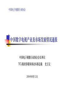 史万文中国数字电视产业及市场发展情况通报（8－12）