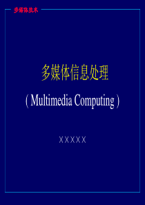 多媒体信息处理