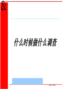 奥美广告评估与调研--ld1013