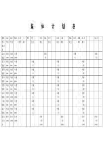 媒体计划表
