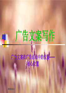 广告文案写作（PPT35页)