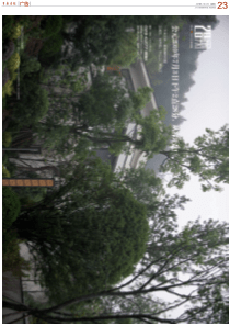 开盘广告
