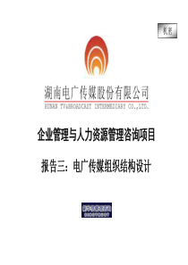 新华信湖南电广传媒组织结构