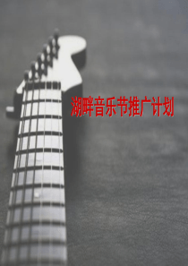湖畔音乐节-媒体推广计划