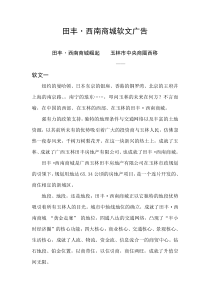 田丰·西南商城软文广告