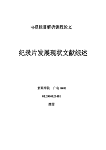 电视纪录片