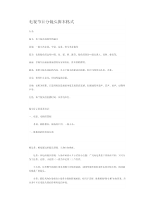 电视节目分镜头脚本格式