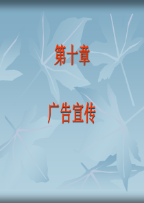 第九章 广告宣传