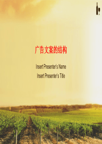第六章广告文案的结构
