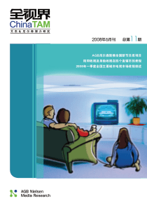 艾杰比尼尔森媒介研究