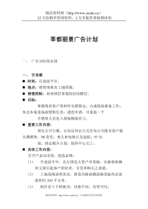 莘都丽景广告计划(DOC11)