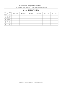 表13媒体推广计划表