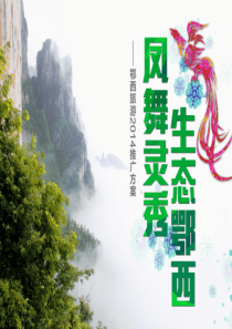 鄂旅投媒体投放方案(最新版)