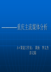 重庆主流媒体分析