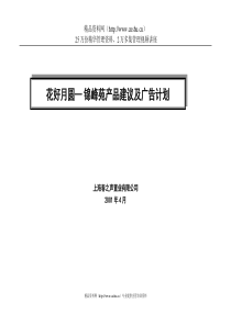 锦峰苑广告计划书