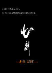 风火广告凤凰大厦总结与推广(定)