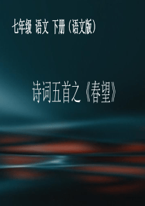 春望--课件(完美版)ppt