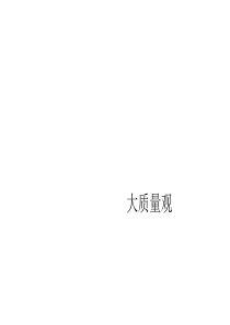 大质量观