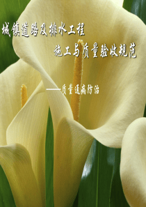 市政道路质量通病及防治办法