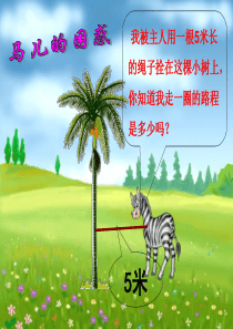 《圆的面积》