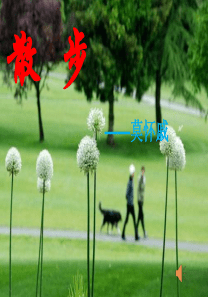 散步公开课课件.ppt