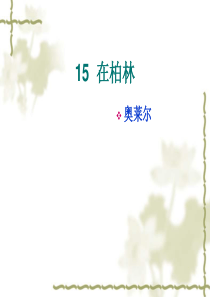 15在柏林ppt
