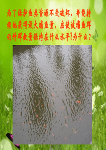 种群数量的变化课件