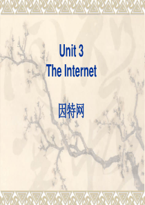中职英语-Unit-3-communication-Lesson-3-internet