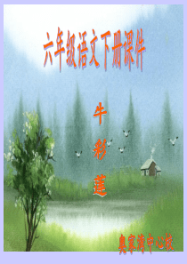 延安-我把你追寻