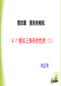4.7.1相似三角形的性质