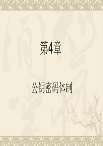 公钥密码体制(精)