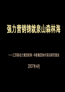 中新集团徐州某房地产项目定位市场研究报告