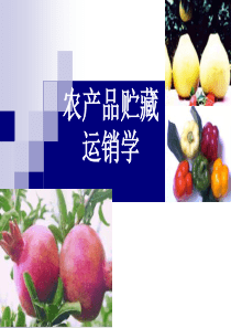 农产品贮藏运销学-绪论