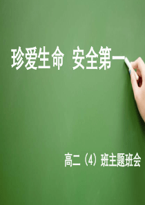 高中安全教育主题班会PPT