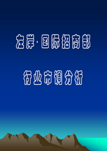 郑州市左岸国际招商部行业市调分析