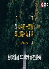2018校园招聘宣讲PPT