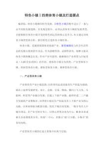 4类体育小镇